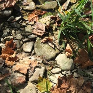 Meet your Posher, Reagan